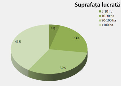 Fig. 3. Suprafaţa lucrată
