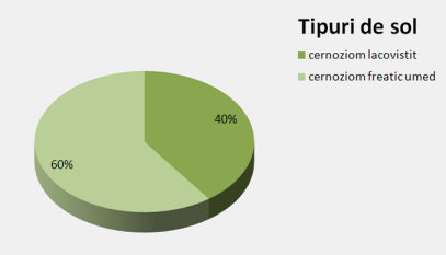 Fig. 4. Tipul de sol